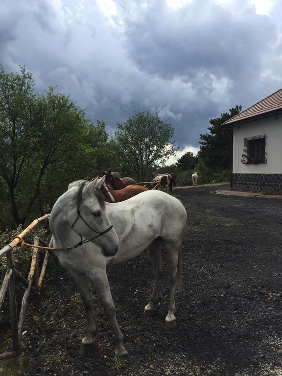 Hotel Villa Dorata Nicolosi Zewnętrze zdjęcie